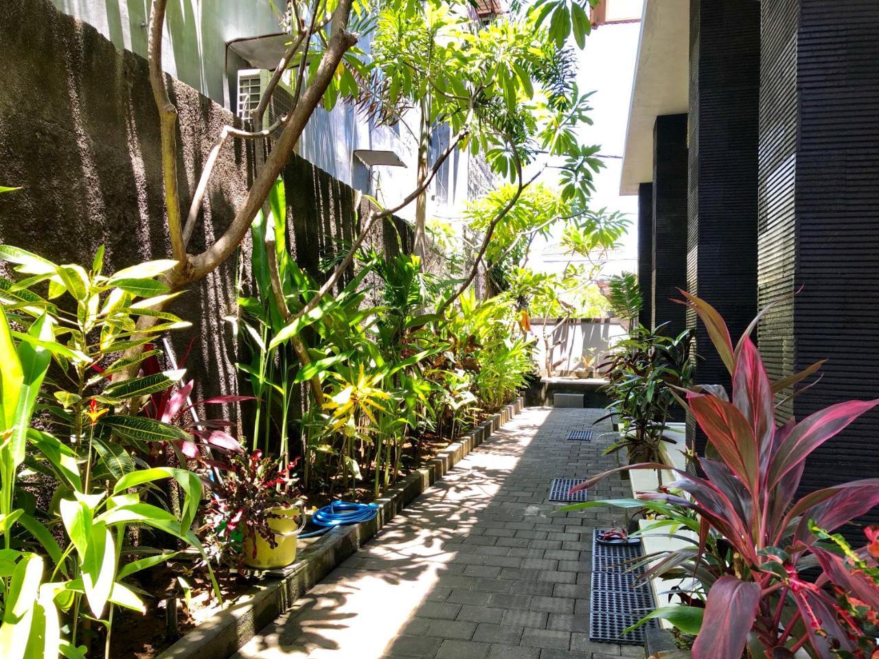 Guest House Kupukupu39
